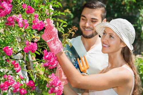 Tree surgeon using safe techniques for crown reduction