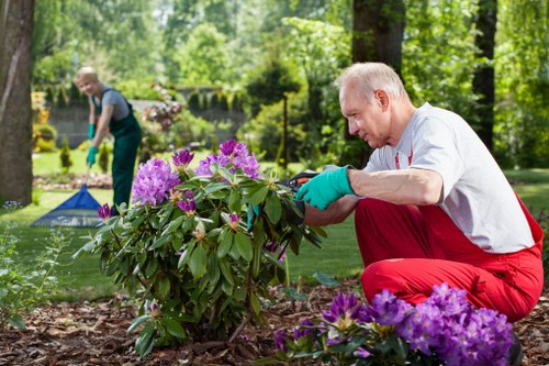 Accepted payment methods for Tree Surgeons Brockley services