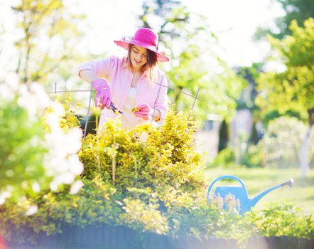 Secure and trusted payment options for Tree Surgeons Brockley